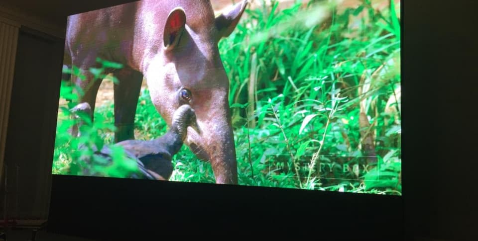 Светодиодный экран в павильоне «Космос» ВДНХ